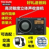 Tecsun de Sheng CR-1100DSP Полупроизводство