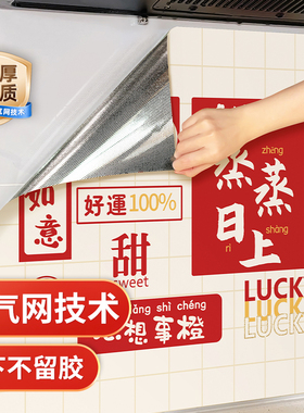 蓝瑞乔迁厨房防油贴纸