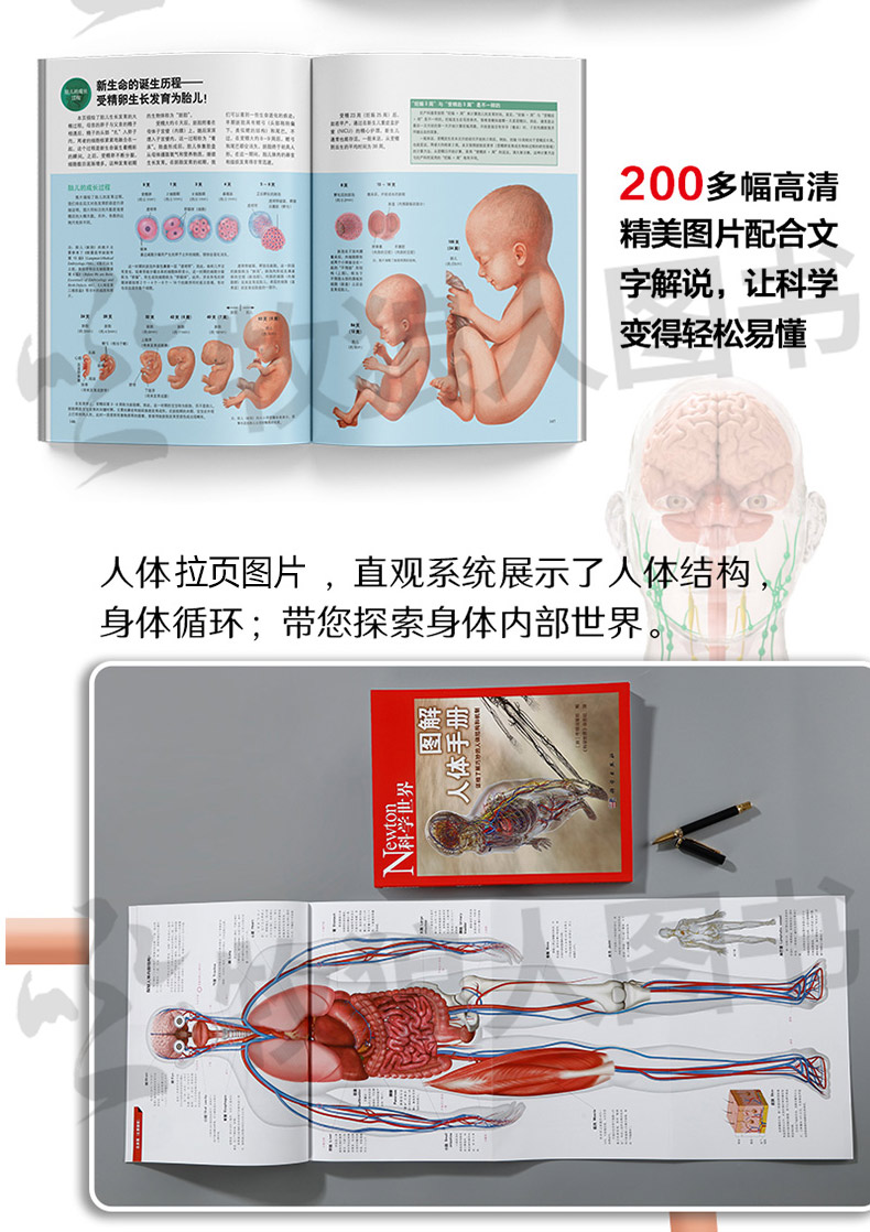 Newton科学世界杂志2023年典藏版增刊：图解物理/化学/虚数/对数与向量/微积分/三角函数/统计与概率/人体手册科普非2022年过刊-图2