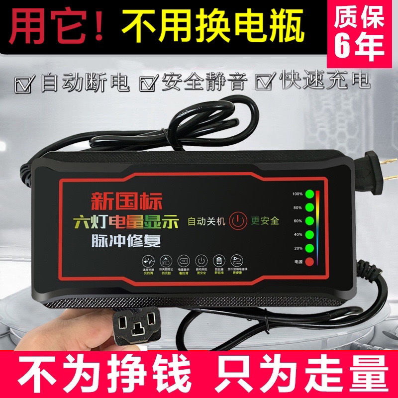 自动断电智能电动车电瓶充电器48V12AH60V20AH72爱玛雅迪三轮通用 - 图1