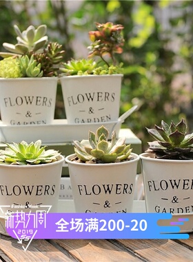 北欧铁皮花桶白色创意花盆个性