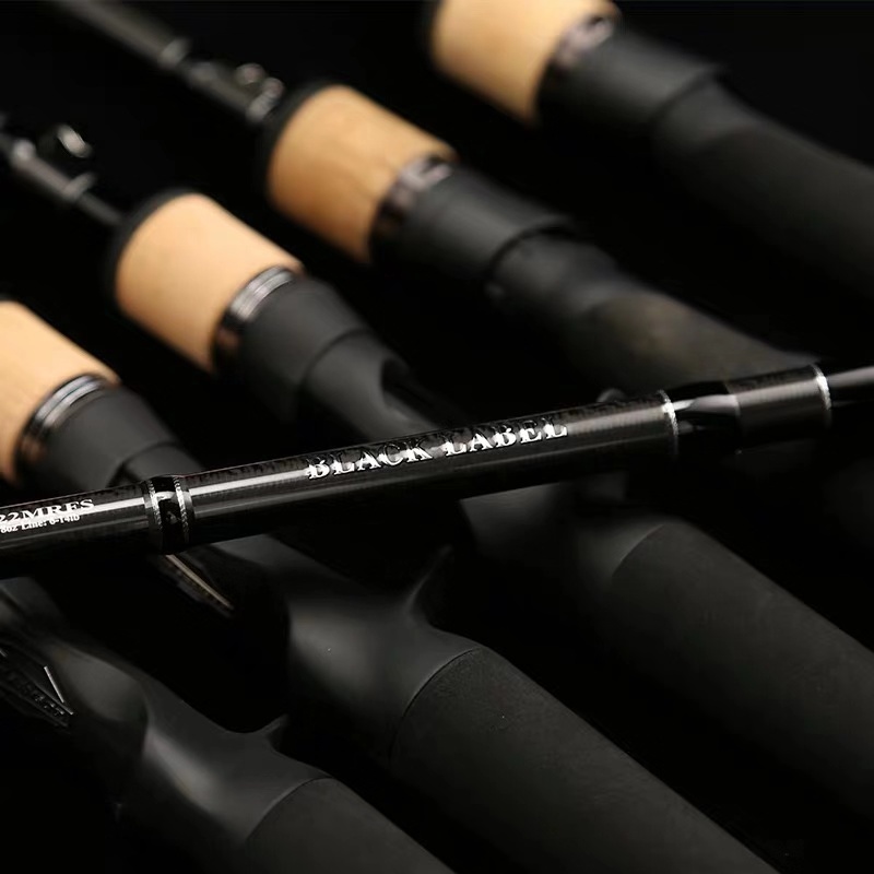 DAIWA达亿瓦25款黑标 BLACK LABEL X两节钓鱼路亚竿 轻量远投竿 - 图0