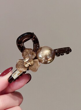 醋酸花朵抓夹秋季感鲨鱼夹子新款小号后脑勺边夹发夹头饰