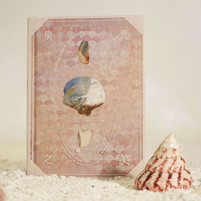 后浪正版 贝壳之美 复古艺术馆系列 190幅贝壳画作 海洋生物写生手绘版画自然纹样艺术书籍,淘宝优惠券,粉丝福利购,淘宝优惠卷