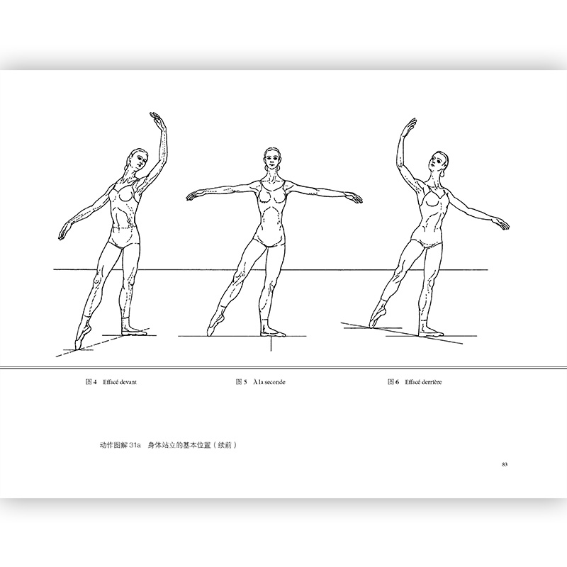 古典芭蕾 基本技巧和术语 后浪正版 芭蕾舞基础动作指南舞蹈艺术教学法书籍 - 图2