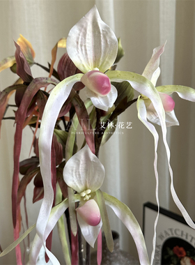 单枝兜兰仿真花小众花材兰花