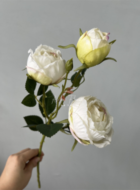 3头梦露玫瑰仿真花芙蓉芍药