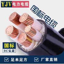 Copper Core Cable YJV4 * 25 1*16 National Label 4 1 10 10 16 16 35 35 50 70 70 95120