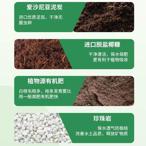 园艺通用营养土 种植土 花土 种植土 多肉 月季 茉莉土 种植土 - 图0