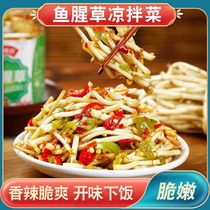 Cold Mix houthouthone fresh fold Ear root tender Hubei Yungui Techuan specials Spicy and Spacey Meals Ready to Eat Ready-to-eat