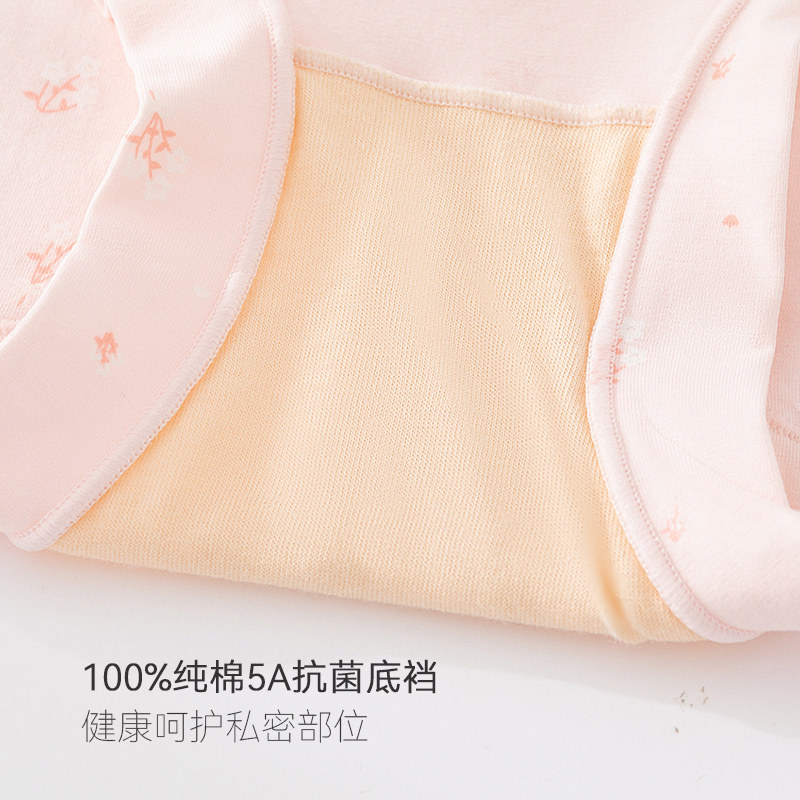 内裤女士新疆长绒棉抗菌短裤裤头中腰三角裤舒适无痕大码夏季薄款,淘宝优惠券,粉丝福利购,淘宝优惠卷