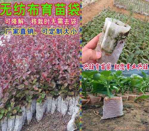 移栽免脱袋无纺布营养袋花盆百香果坚果核桃柑橘果树育苗袋营养杯 - 图2