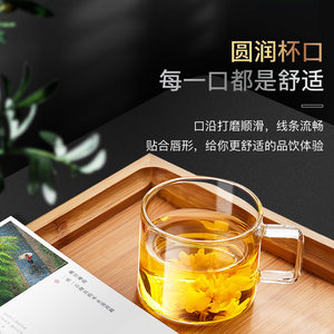 金灶K-106水杯带把玻璃杯ins风杯子耐高温家用套装小茶杯花茶杯