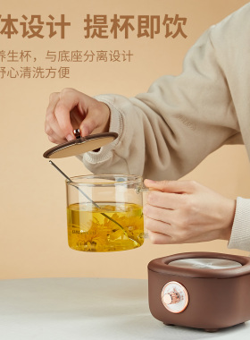金灶全玻璃迷你养生壶办公室
