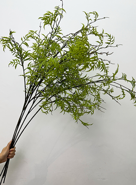 仿真海金沙塑料花绿色植物叶子中式花艺仿真柳枝波斯叶软装花材