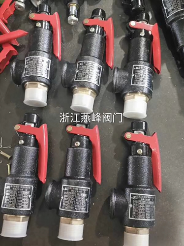 浙江燕峰A27W-10T/16T蒸汽锅炉储气罐弹簧式铜芯微启安全阀DN20 - 图2