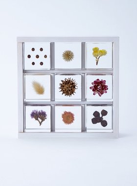 宙-solacube立方体日本进口植物