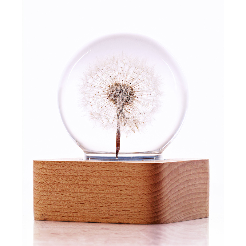 蒲公英标本水晶球摆件高端礼物生日情人节礼物
