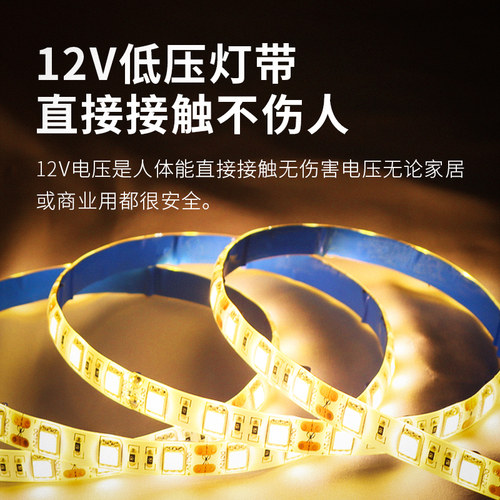 LED灯带12V 5050单色线形灯条自粘照明氛围裸板滴胶防水套管吊顶 - 图2