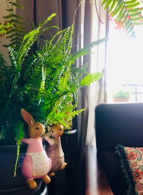 可爱风花缸树脂杂货小动物挂件