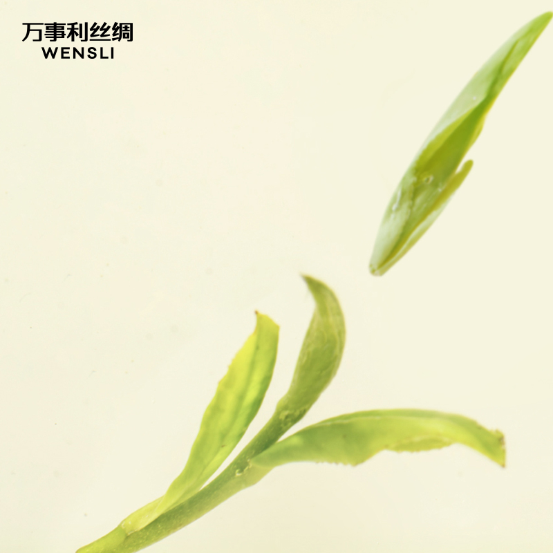 万事利24年春茶新品真丝丝巾高端茶叶礼盒西湖龙井杭城双绝·心意 - 图1