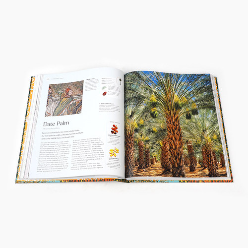 英文原版 The Tree Book 树书 风景摄影画册植物学自然科普书籍 DK Eyewitness Travel出版社 科普百科STEAM读物 精装 - 图0