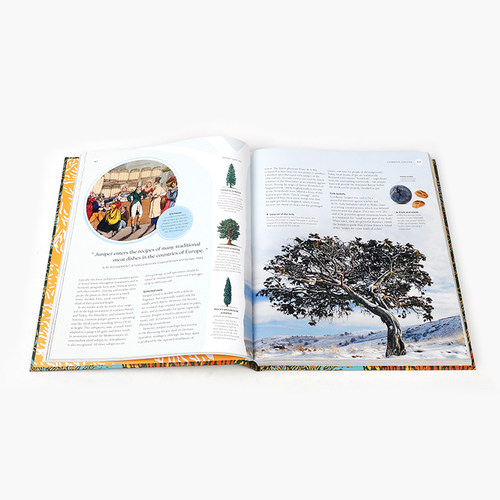 英文原版 The Tree Book 树书 风景摄影画册植物学自然科普书籍 DK Eyewitness Travel出版社 科普百科STEAM读物 精装 - 图2