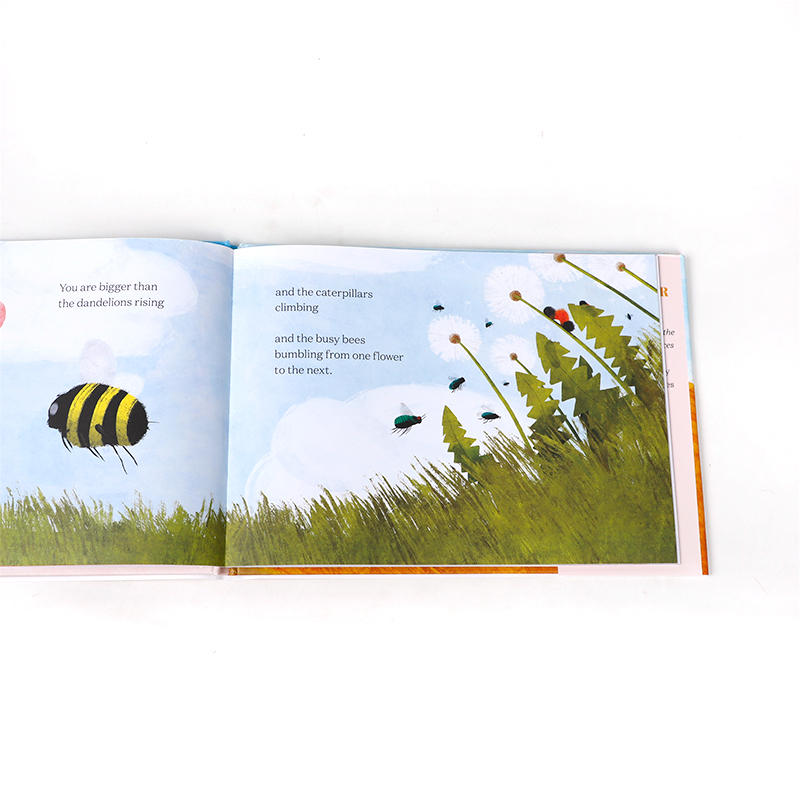 英文原版 Bigger Than a Bumblebee 比大黄蜂更大 歌颂父母对孩子的爱 4-8岁儿童宝宝温馨亲情亲子共读绘本精装