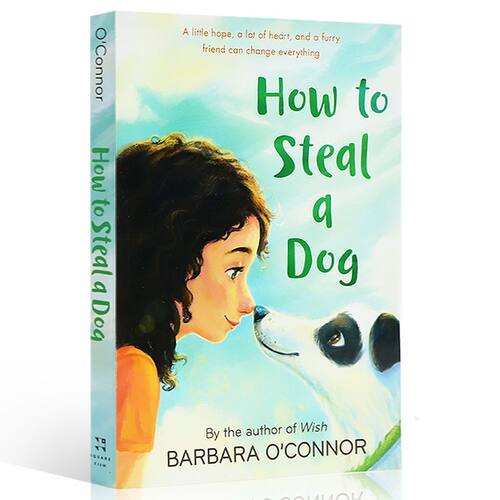 预售英文原版 How to Steal a Dog 如何偷走一只狗 道德与现实困境的现实性故事 家庭故事 温馨诙谐平装 小说儿童文学10-14岁 - 图3