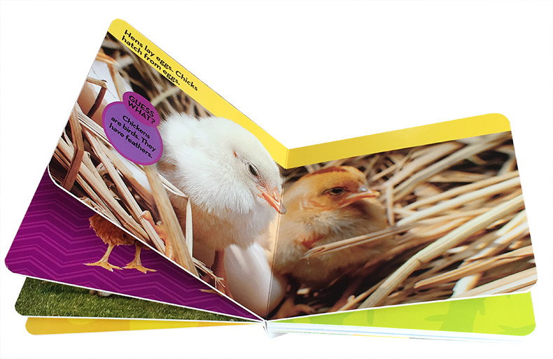 英文原版National Geographic Kids Look and Learn: Farm Animals国家地理少儿版系列幼儿童英语启蒙童书全彩版动物农场2-3-4-5岁