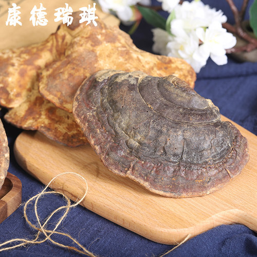 整枝野灵芝500g长白山深山赤灵芝赤芝无柄灵芝灵芝粉泡水泡酒煲汤 - 图1