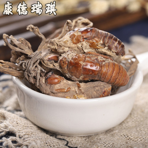 50克金蝉花中药材官方旗舰店土蝉花蝉草蝉菌蝉花虫草深山野金蝉花 - 图0