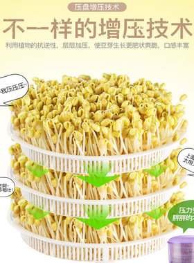 康丽豆芽机家庭长种育苗神器