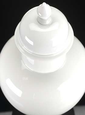 2010限量品纯白将军罐花瓶