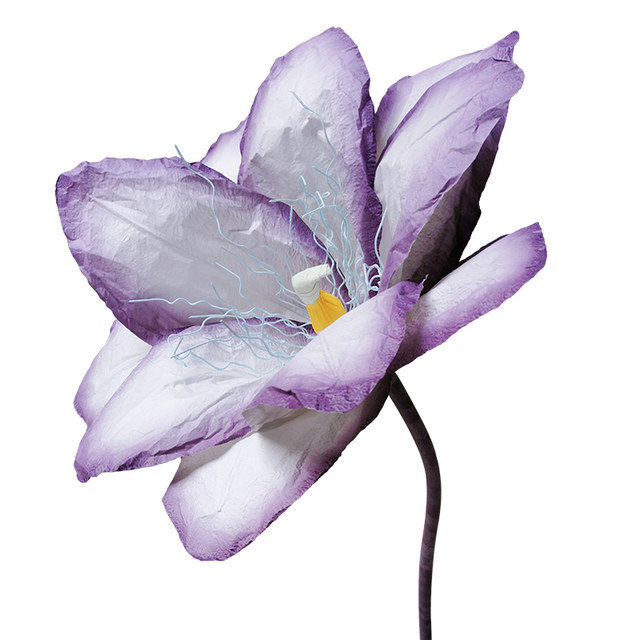 Large wedding paper art decoration window magazine shooting