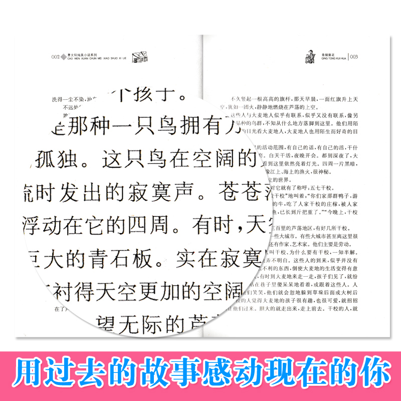 正版包邮曹文轩纯美小说系列全集13册 儿童文学读物草房子+马戏团+山羊不吃天堂草+蜻蜓眼+野风车曹文轩纯美小说系列 江苏少儿出版