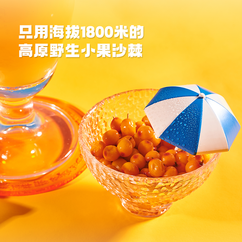 宇航人沙棘汁内蒙古小果沙棘果汁饮料300ml*6瓶风味饮料酸甜解渴 - 图0