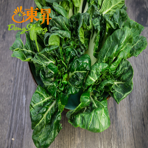东升农场 供港宁夏斗白苗 鹤斗白苗 矮脚奶白菜苗 火锅食材250g - 图3