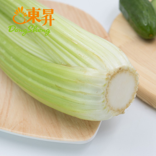 东升农场 供港西芹  芹菜 西芹新鲜轻食 养生 广州蔬菜 3/5斤包邮 - 图2
