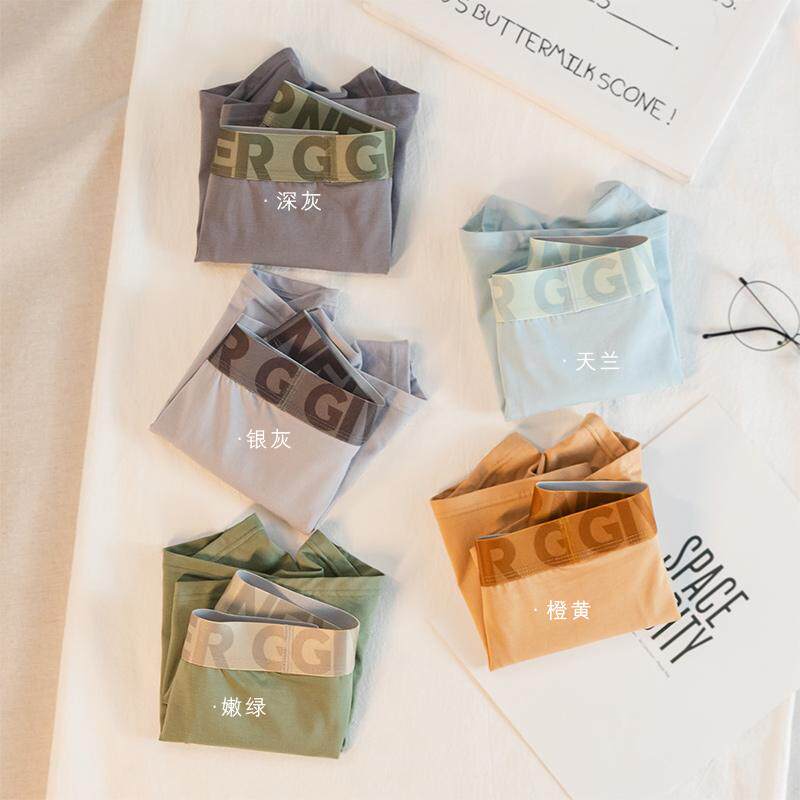 3条装 男士内裤男生纯棉2024新款平角裤5A抗菌中腰透气四角短裤衩 - 图0