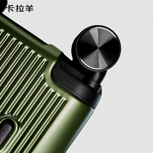 Гигант овец Carla может установить коробку с багажом новичков