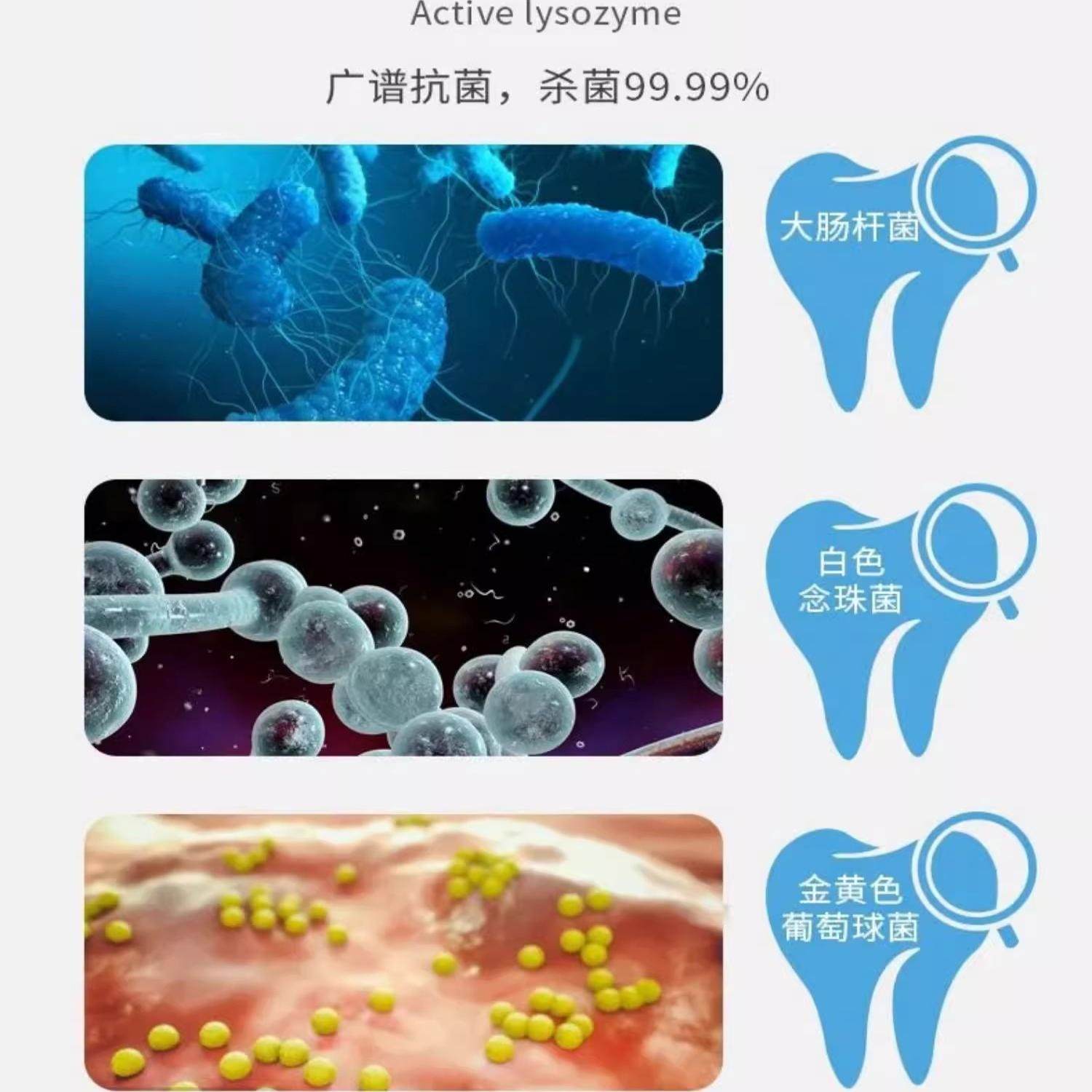 派维口炎净宠物猫狗抑菌喷雾清洁口腔溃疡口臭牙龈红肿嘴巴流口水,淘宝优惠券,粉丝福利购,淘宝优惠卷