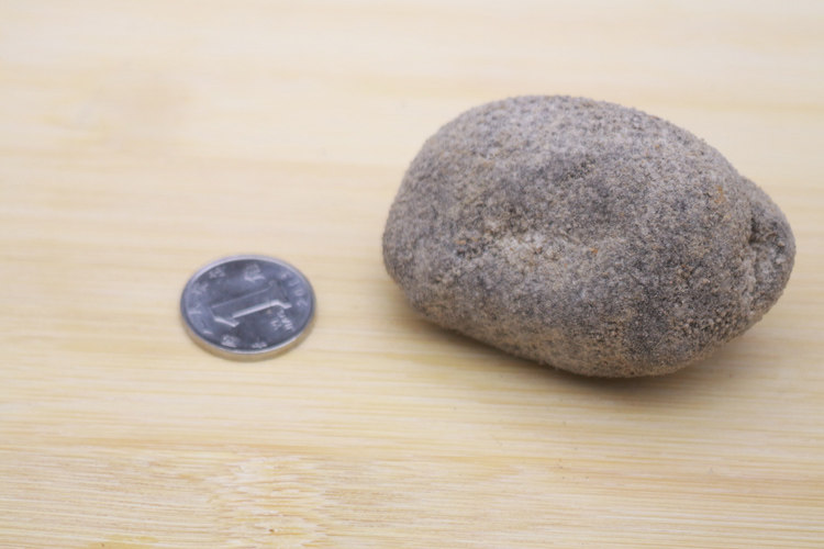 马来西亚特产淡干海参进口野生珍珠海参干货圆球海参天然球参500g_虎窝淘
