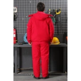 Чай улун Да Хун Пао, утепленный комбинезон, хлопковый пуховик, куртка