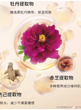 柏蕊诗薄荷冰肌艺术持妆气垫霜bb霜保湿修颜遮瑕服帖提亮粉底液