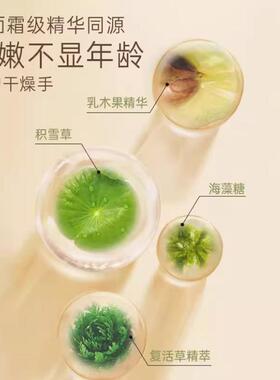 正常规格plantsdiary/植物日记