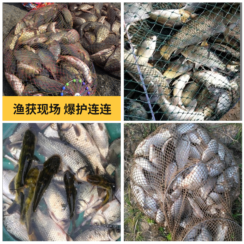 通威原塘麻团颗粒黑坑偷驴滑鱼回锅鱼窝料秒粘豆野钓鲫鱼草鱼饵料 - 图2