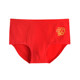 Year of the Horse boy's bright red cotton briefs 12-year-old boy's red underwear zodiac year boy's red underwear