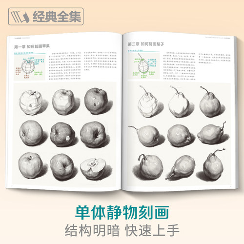 经典全集 素描静物组合临摹书籍美术基础技法结构到位绘画册照片风暴高艺联考主导陈敲平陶罐门砖教学程材大八开范本正版杨建飞 - 图1