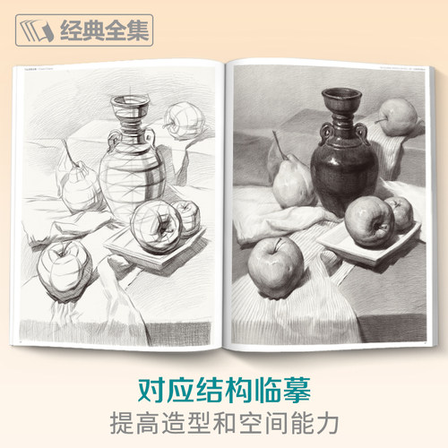 经典全集 素描静物组合临摹书籍美术基础技法结构到位绘画册照片风暴高艺联考主导陈敲平陶罐门砖教学程材大八开范本正版杨建飞 - 图3